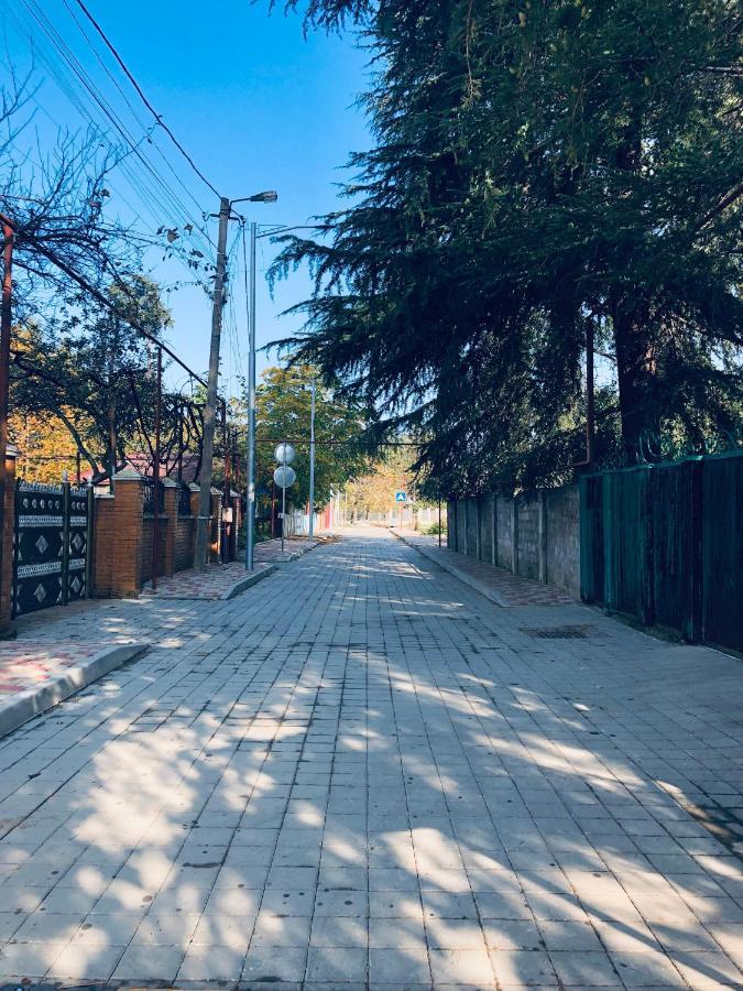 Papillon Διαμέρισμα Chakvi Εξωτερικό φωτογραφία